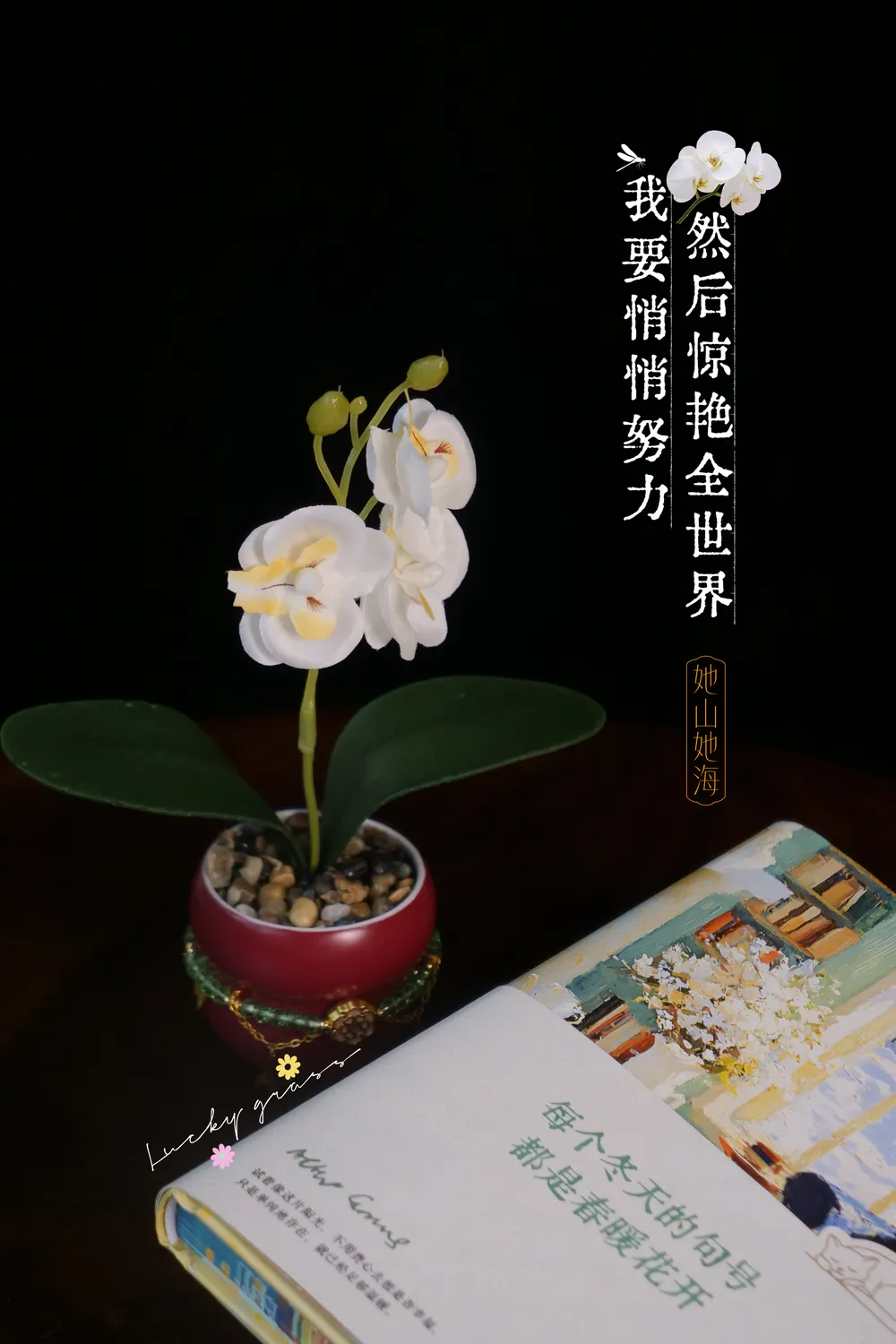蝴蝶兰葫芦杯永生花